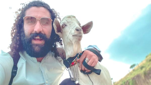 Viajar con una cabra - Goat