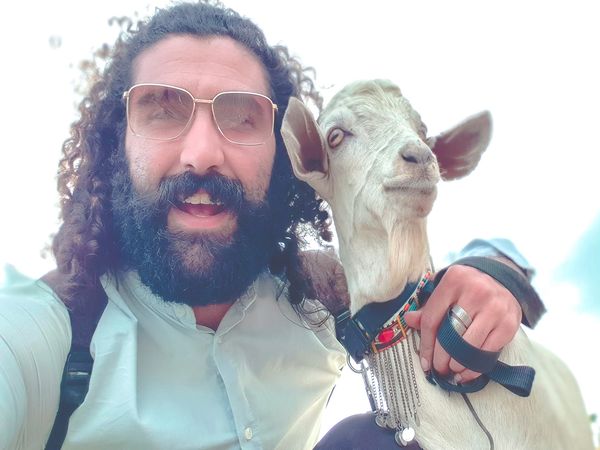 Viajar con una cabra - Goat