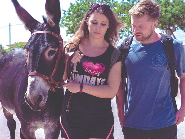 Viajar con una cabra - Donkey
