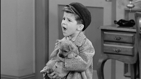 I Love Lucy - Little Ricky Gets A Dog