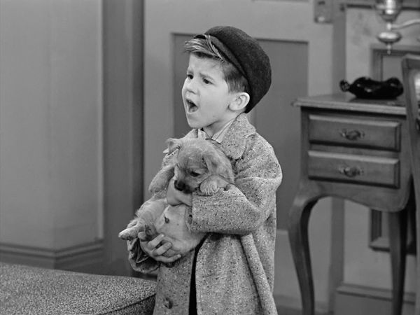 I Love Lucy - Little Ricky Gets A Dog