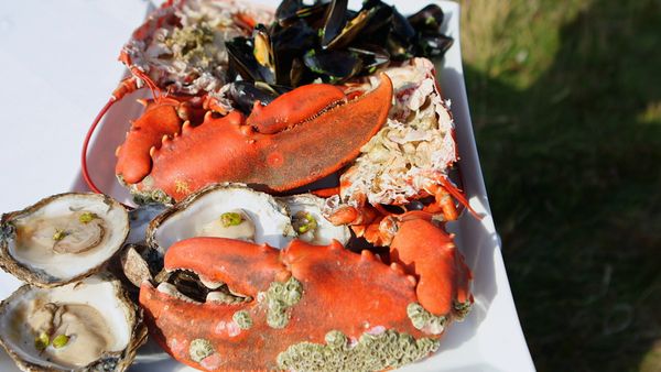 Tareq Taylor's Nordic Cookery DA - Central Jutland
