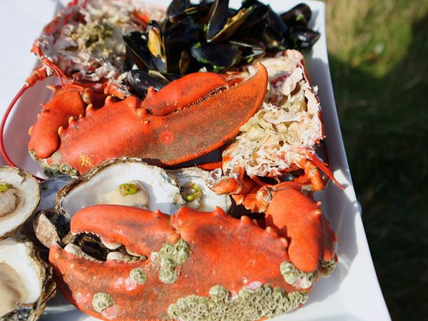 Tareq Taylor's Nordic Cookery DA - Central Jutland