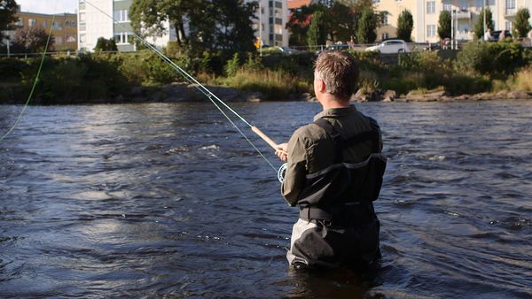 Tareq Taylor's Nordic Cookery - Falkenberg