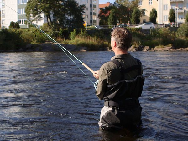 Tareq Taylor's Nordic Cookery - Falkenberg
