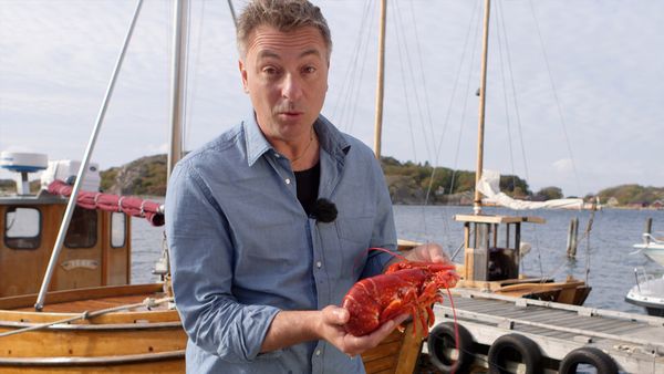 Tareq Taylor's Nordic Cookery - West Sweden