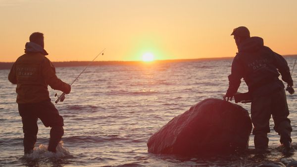 Tareq Taylor's Nordic Cookery - Öland