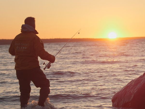Tareq Taylor's Nordic Cookery - Öland