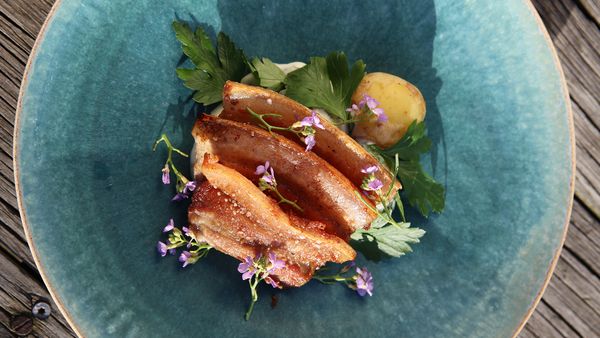 Tareq Taylor's Nordic Cookery - North Sealand