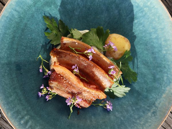 Tareq Taylor's Nordic Cookery - North Sealand