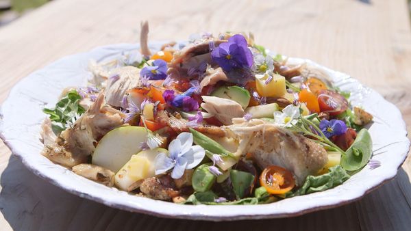Tareq Taylor's Nordic Cookery - The Danish Lakelands