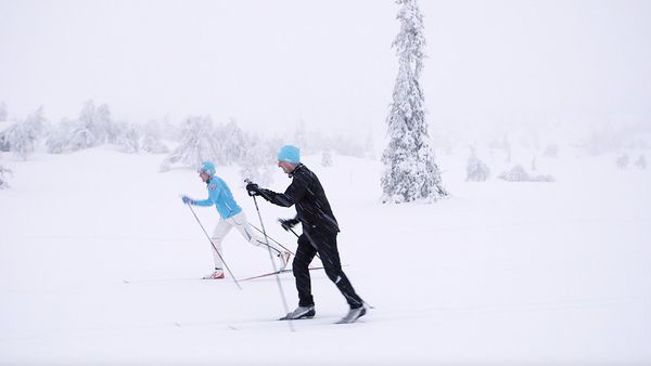 Tareq Taylor's Nordic Cookery - Trysil