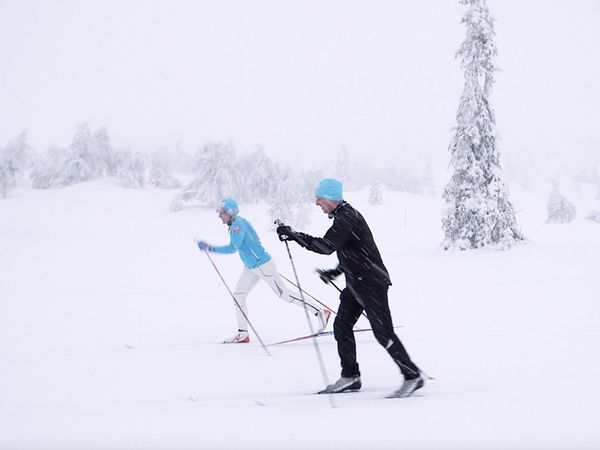 Tareq Taylor's Nordic Cookery - Trysil