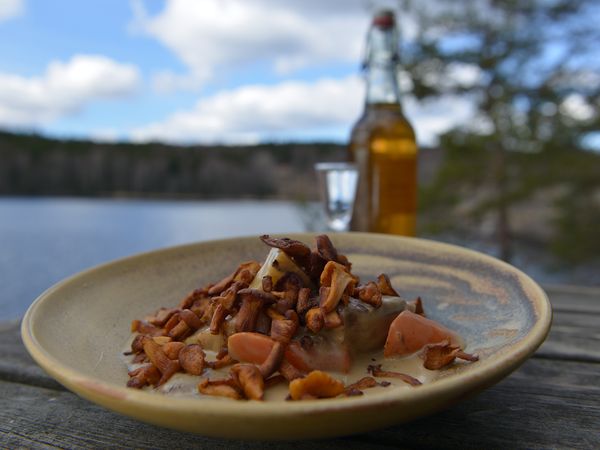 Tareq Taylor's Nordic Cookery - Skåne