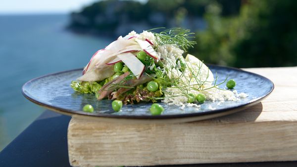 Tareq Taylor's Nordic Cookery - Zealand