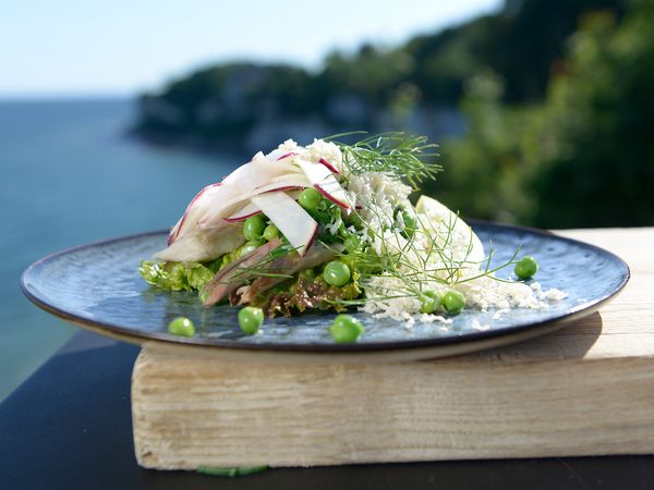 Tareq Taylor's Nordic Cookery - Zealand