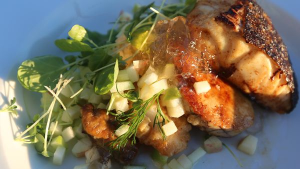 Tareq Taylor's Nordic Cookery - Bergen