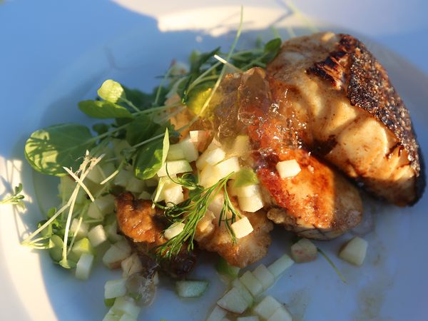 Tareq Taylor's Nordic Cookery - Bergen