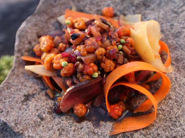 Tareq Taylor's Nordic Cookery - Jokkmokk