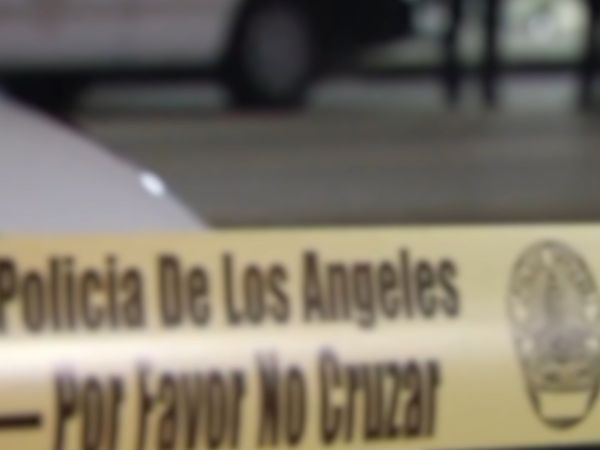 Trace of Evil - The Grim Sleeper
