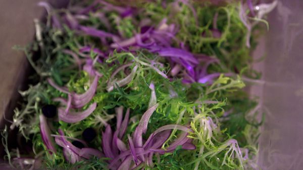 Tareq Taylor's Nordic Cookery - Kiruna