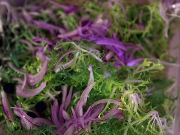 Tareq Taylor's Nordic Cookery - Kiruna