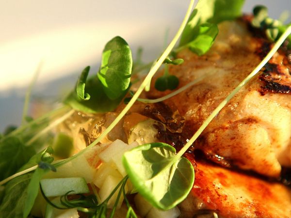 Tareq Taylor's Nordic Cookery - Bergen