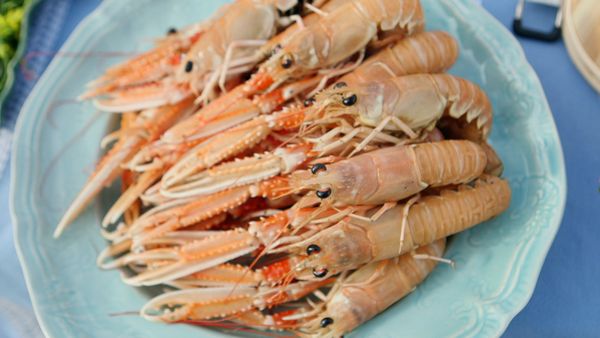 Tareq Taylor's Nordic Cookery - North Jutland
