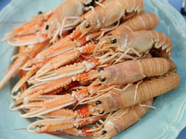 Tareq Taylor's Nordic Cookery - North Jutland