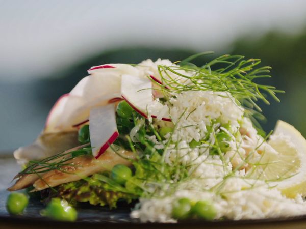 Tareq Taylor's Nordic Cookery DA - Zealand