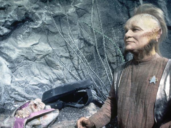 Star Trek: Voyager - Parturition