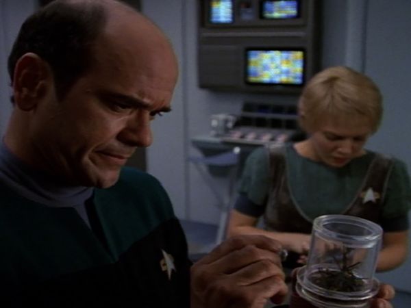 Star Trek: Voyager - Cold Fire