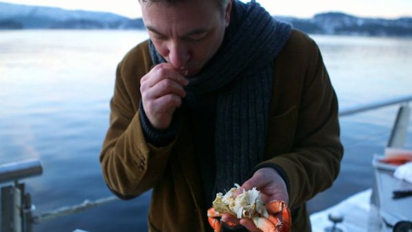 Tareq Taylor's Nordic Cookery - Best Of