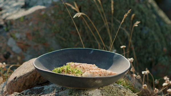 Tareq Taylor's Nordic Cookery - Höganäs