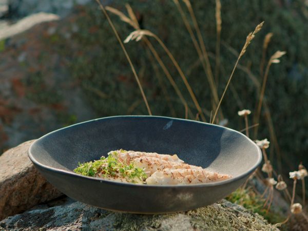 Tareq Taylor's Nordic Cookery - Höganäs