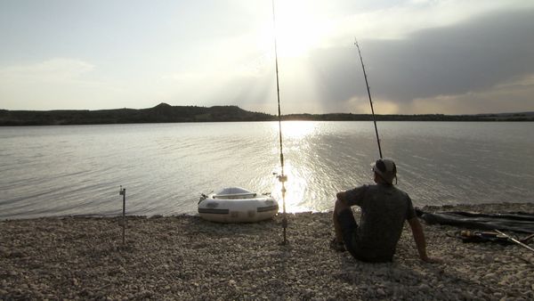 Fluss-Monster - Der Riesenwels