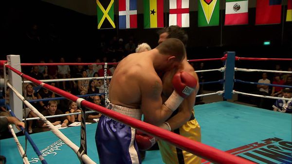 The Contender - The End Of The Beginning