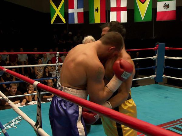The Contender - The End Of The Beginning
