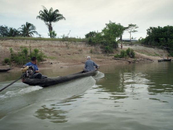 Fluss-Monster - Der Arapaima: Die Legende von Guyana