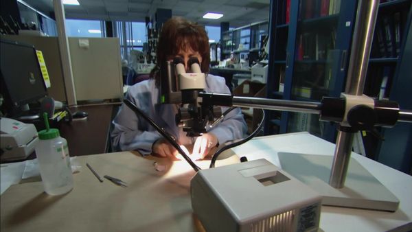 Detetives Médicos - Dólares e Sentido