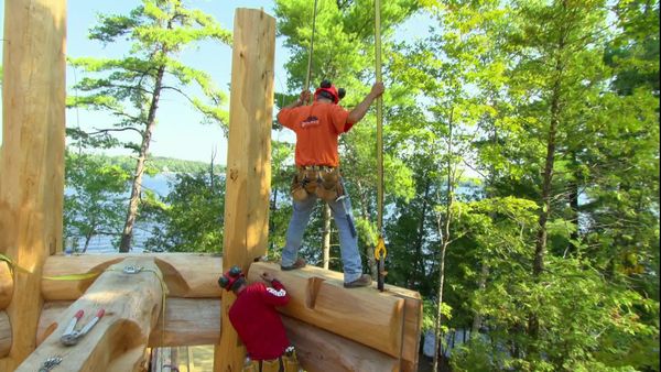 Timber Kings - The Boss Can Build