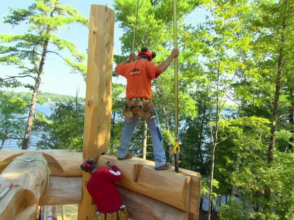 Timber Kings - The Boss Can Build