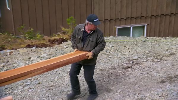 Timber Kings - Old Dog, New Tricks