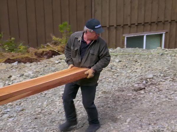 Timber Kings - Old Dog, New Tricks