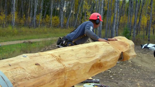 Timber Kings - Good As New
