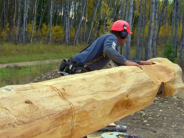 Timber Kings - Good As New