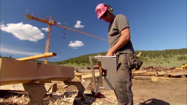 Timber Kings - Hard Hat & Home