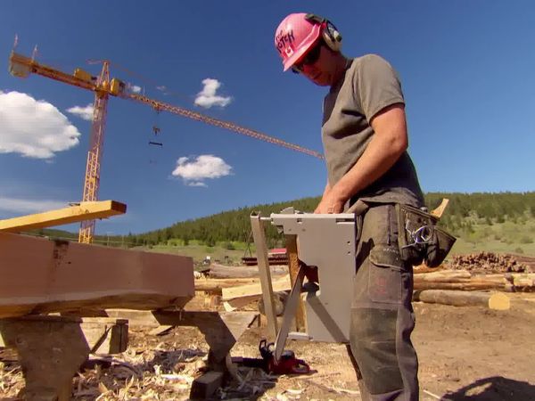 Timber Kings - Hard Hat & Home