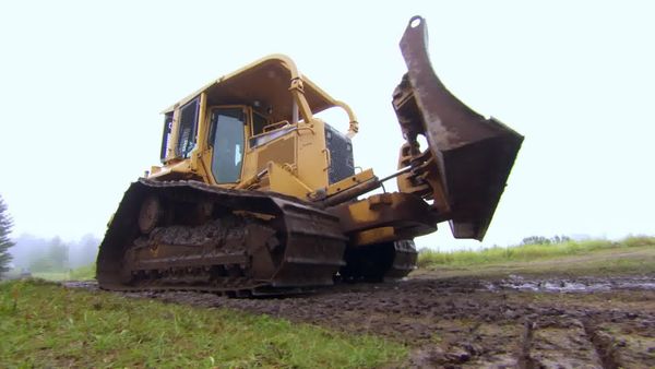 Timber Kings - Pig in Mud