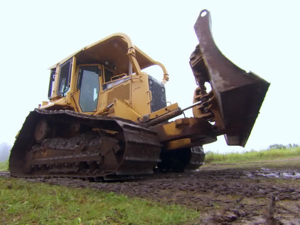 Timber Kings - Pig in Mud
